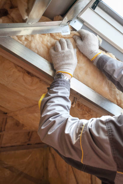 Best Insulation Installation Services in Sanger, TX