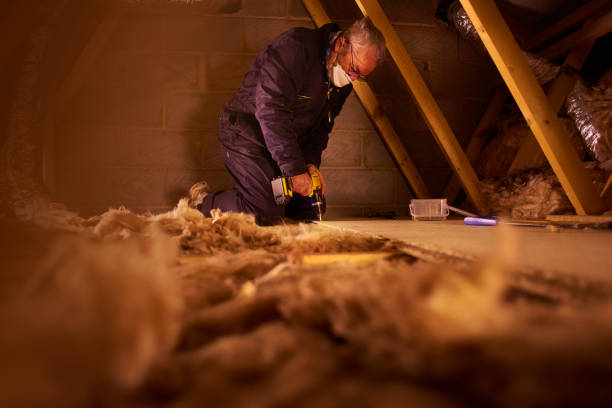 Best Insulation Installation Services in Sanger, TX