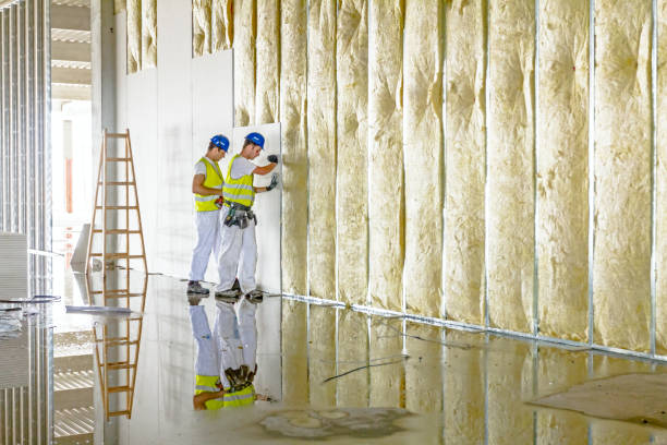 Best Specialty Insulation in Sanger, TX